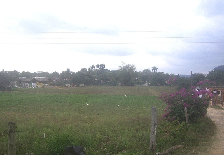 'Vista desde la habitacion' Casas particulares are an alternative to hotels in Cuba.